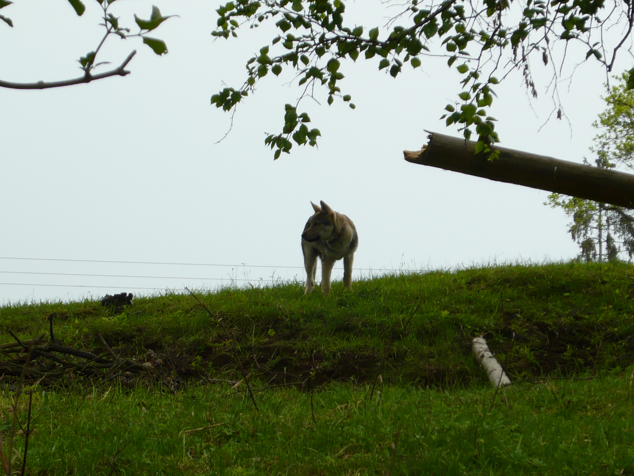 P1000042.JPG