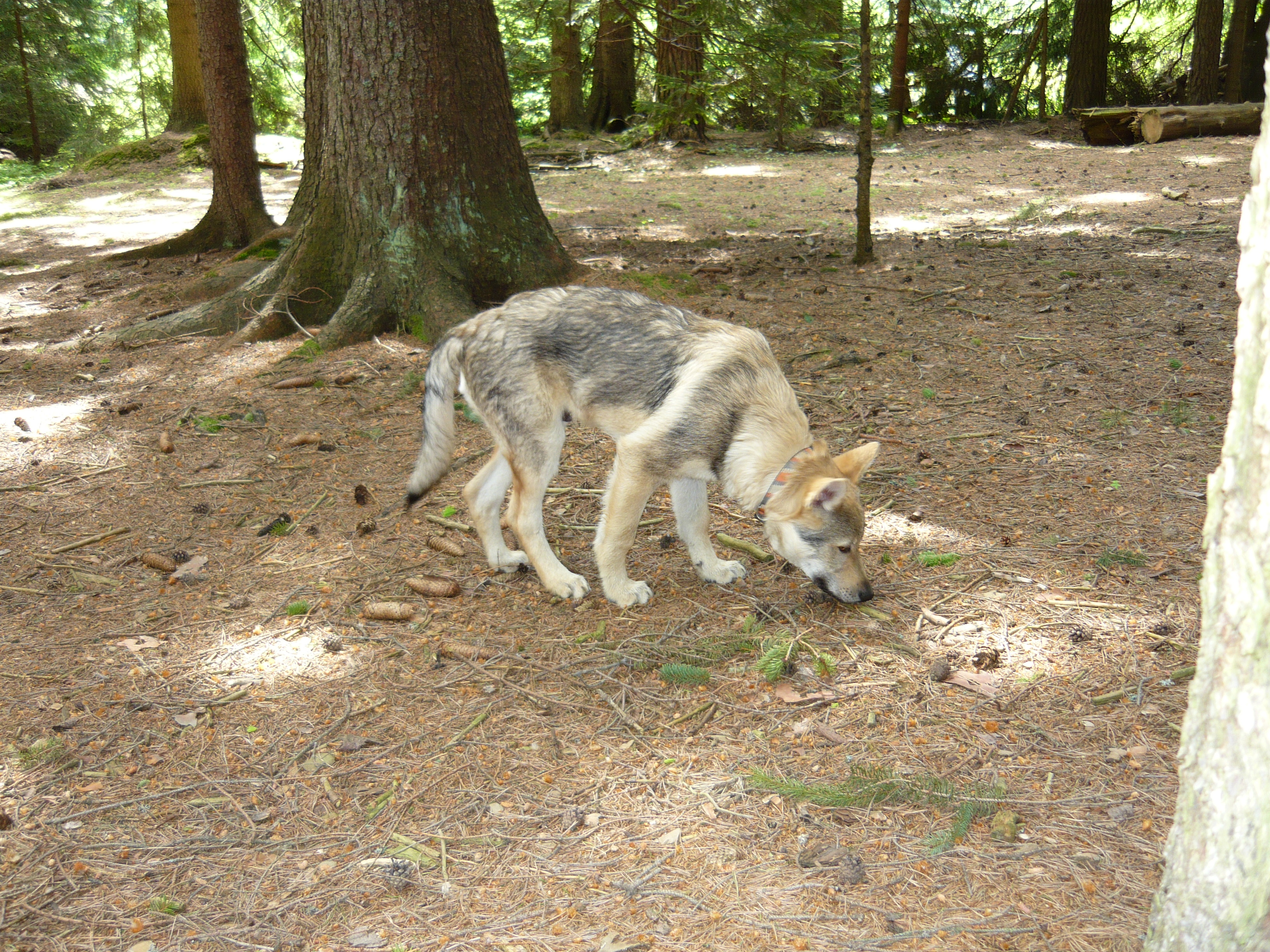 P1000076.JPG